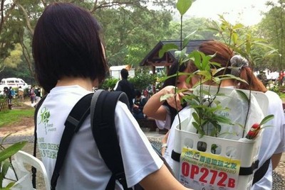 每組植樹隊(duì)伍都需要設(shè)計(jì)和制造承載用具，運(yùn)送樹苗和種植工具到指定植樹場。