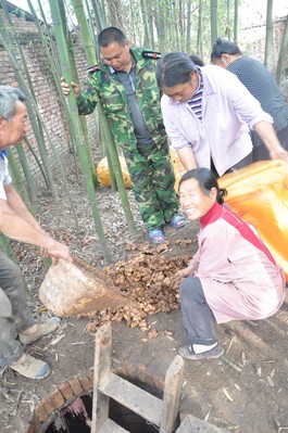 沃爾瑪四川采購(gòu)人員赴四川蘆山天全縣落改村與農(nóng)戶對(duì)接現(xiàn)場(chǎng)收購(gòu)滯銷(xiāo)生姜